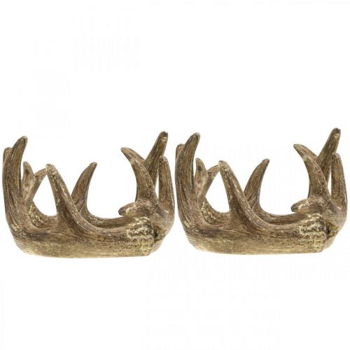 Floristik24 Portacandele candelabro corno oro H7cm Ø10cm 2pz