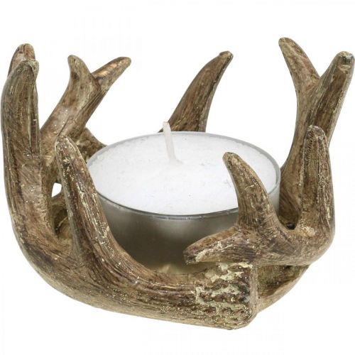 Floristik24 Portacandele candelabro corno oro H7cm Ø10cm 2pz