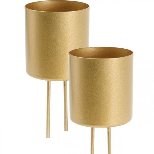 Floristik24 Portacandele a innesto portacandele dorato in metallo Ø5cm 4 pz