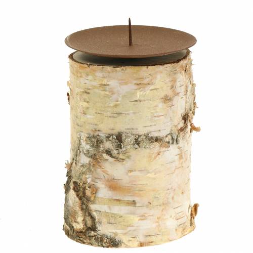 Floristik24 Candeliere betulla Ø8cm H14cm