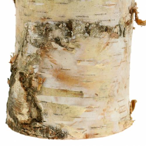 Floristik24 Candeliere betulla Ø8cm H14cm