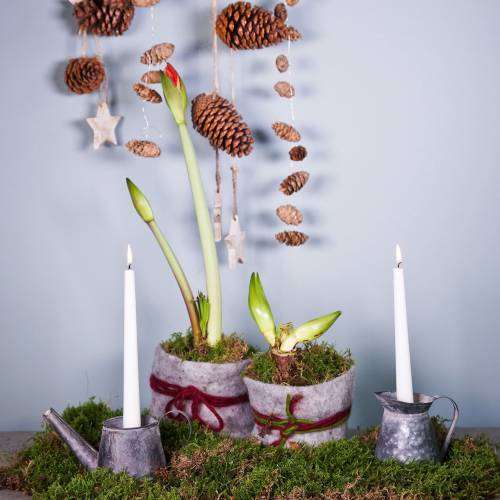 Floristik24 Brocca candeliere aspetto antico H12/9cm 2pz