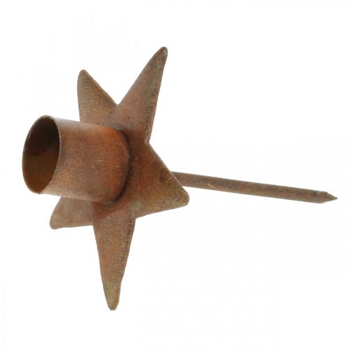 Floristik24 Stella decorativa per candele, portacandele per albero da attaccare, decorazione natalizia in metallo patinato Ø5cm