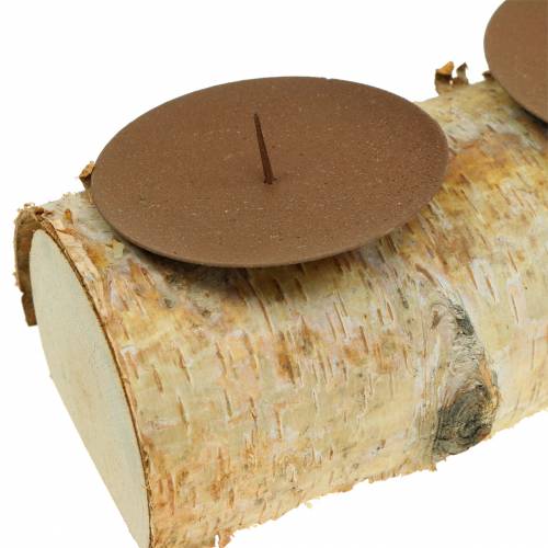 Floristik24 Candeliere con 4 spine di betulla 40 cm x 8 cm H9 cm