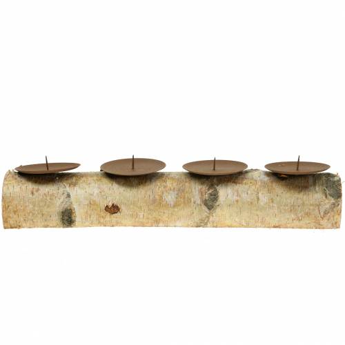 Floristik24 Candeliere con 4 spine di betulla 40 cm x 8 cm H9 cm