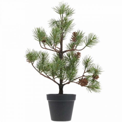 Floristik24 Pino artificiale in vaso Albero di Natale con pigne 52cm