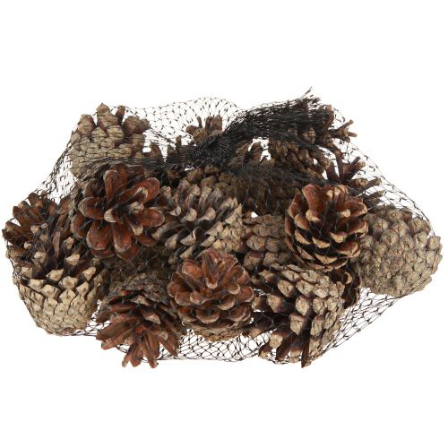 Prodotto Pigne decorative Pigne di pino silvestre naturali 4-5cm 250g