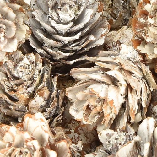 Prodotto Pigne sbiancate, piccole pigne decorative in rete, 2,5-3,5 cm, 500 g