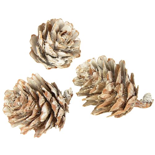 Prodotto Pigne sbiancate, piccole pigne decorative in rete, 2,5-3,5 cm, 500 g