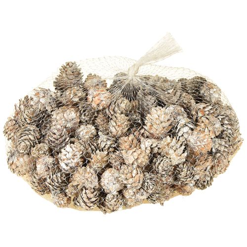 Prodotto Pigne sbiancate, piccole pigne decorative in rete, 2,5-3,5 cm, 500 g