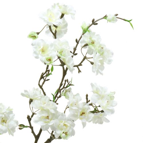 Prodotto Ramo di fiori di ciliegio bianco 105 cm