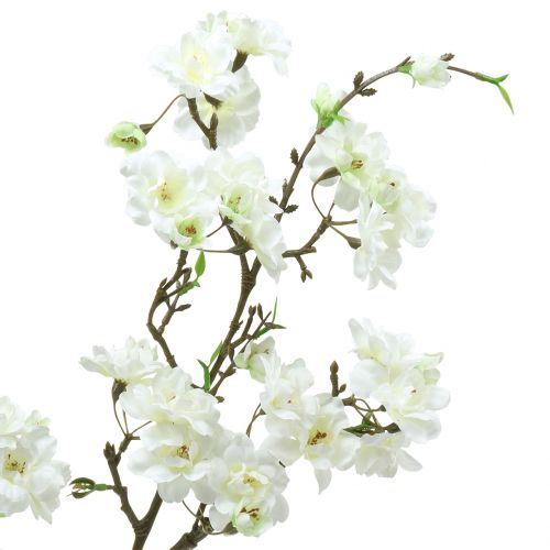 Floristik24 Ramo di fiori di ciliegio bianco 105 cm
