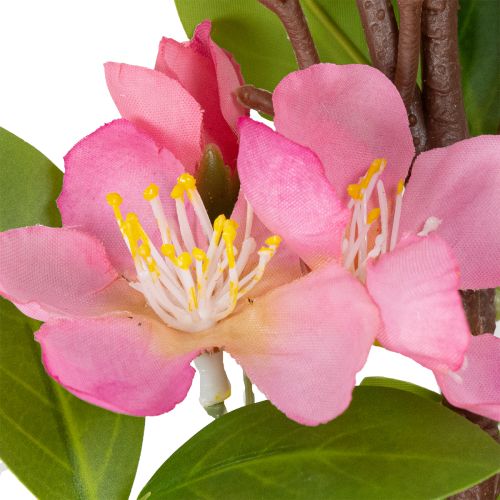 Prodotto Ramo artificiale di ciliegio in fiore, accenti primaverili per la casa, 125 cm