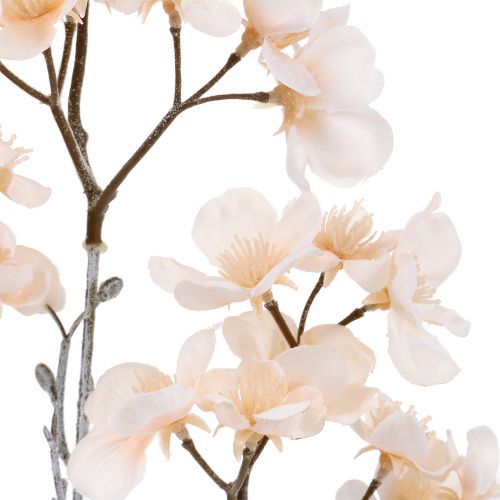 Floristik24 Crema Geeist Branch Cherry Blossom 51cm
