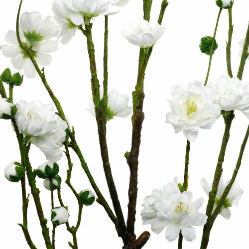Floristik24 Ramo di fiori di ciliegio ramo decorativo artificiale bianco decorazione primaverile di fiori di ciliegio