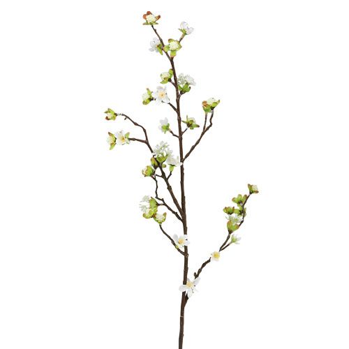 Prodotto Ramo di fiori di ciliegio bianco 95cm