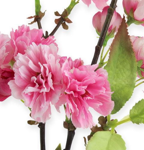 Floristik24 Ramo di fiori di ciliegio in rosa 77 cm