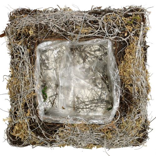 Floristik24 Cuscino muschio, vite 25 cm x 25 cm