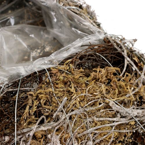 Floristik24 Cuscino muschio, vite 25 cm x 25 cm