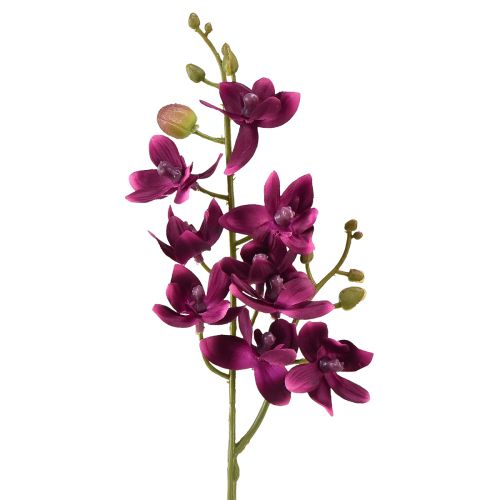 Piccola orchidea Phalaenopsis fiore artificiale viola scuro 30 cm