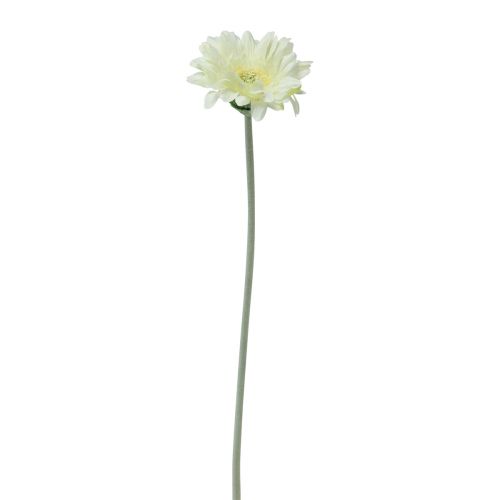 Floristik24 Fiori Artificiali Gerbera Bianca 45cm