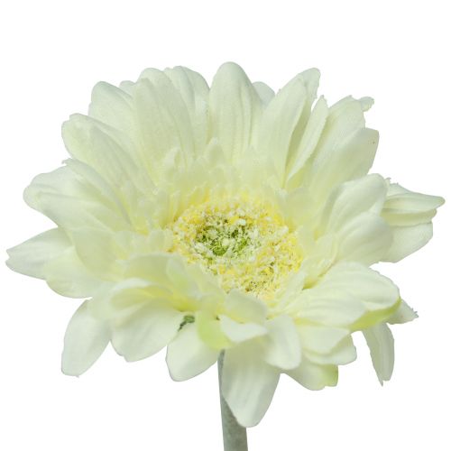 Floristik24 Fiori Artificiali Gerbera Bianca 45cm