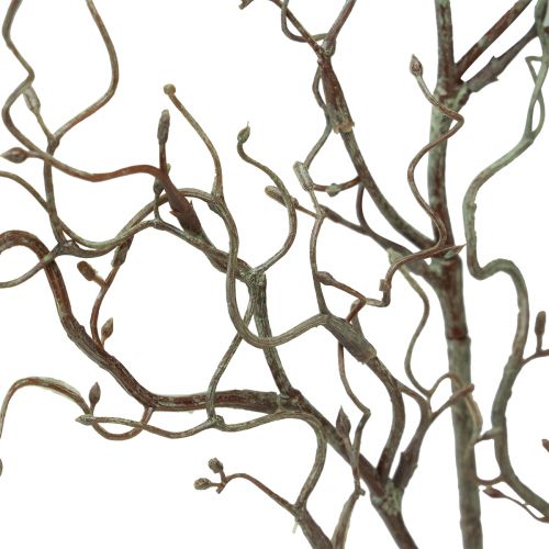 Floristik24 Ramo di salice artificiale con boccioli primaverili marroni L76cm