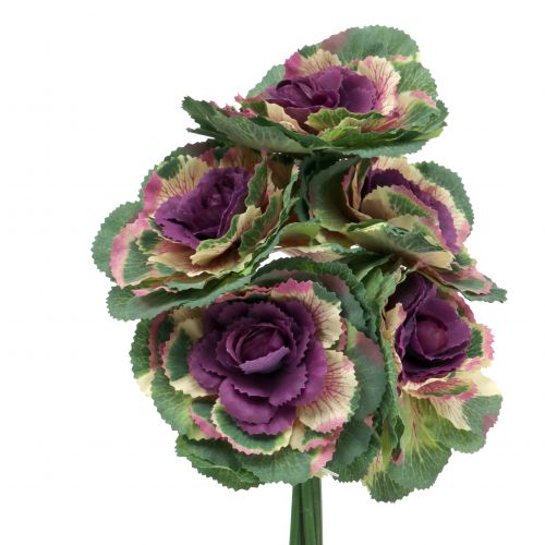 Floristik24 Cavolo artificiale viola, verde 25cm 6pz