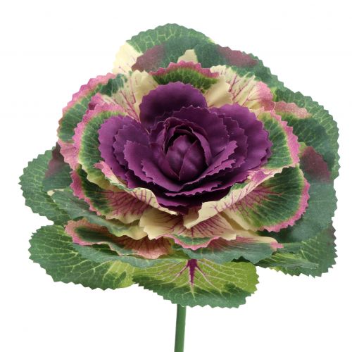 Floristik24 Cavolo artificiale viola, verde 25cm 6pz
