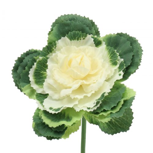 Prodotto Cavolo ornamentale artificiale bianco, verde 25 cm 6 pezzi