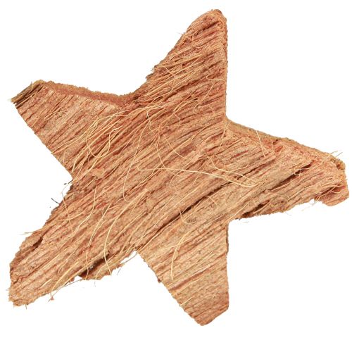 Prodotto Decorazione stella di cocco naturale Decorazione natalizia naturale 5,5-7 cm 30 pz