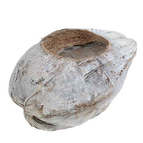 Cocco per piantare bianco 16 cm x 22 cm H14 cm