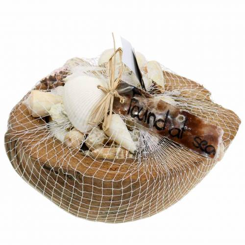 Floristik24 Decorazione Cocco Mare del Sud con cozze 20cm 250g