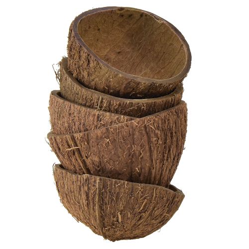 Floristik24 Ciotola in cocco decorazione mezze noci di cocco naturali Ø7-9cm 5 pz