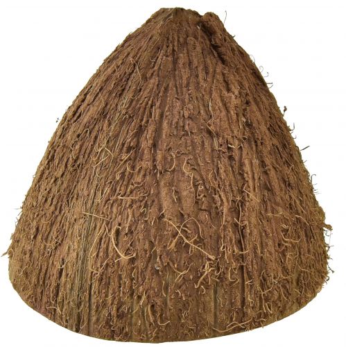 Floristik24 Ciotola in cocco decorazione mezze noci di cocco naturali Ø7-9cm 5 pz