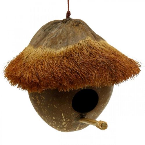 Floristik24 Cocco come nido, voliera da appendere, decorazione cocco Ø16cm L46cm