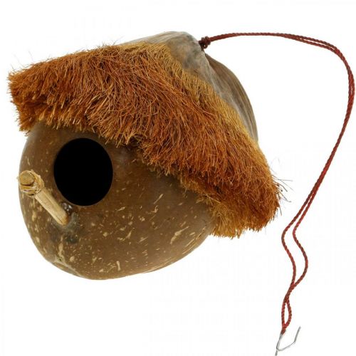 Floristik24 Cocco come nido, voliera da appendere, decorazione cocco Ø16cm L46cm