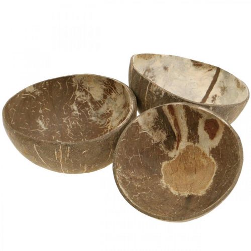 Floristik24 Ciotola decorativa in cocco naturale lucida 6 pz