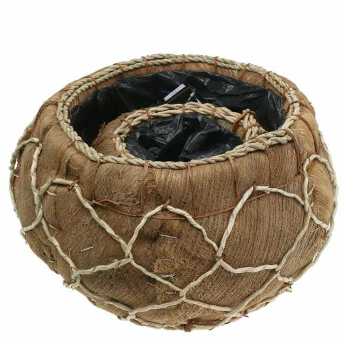 Floristik24 Fioriera cocco naturale Ø37 / 24cm, set di 2