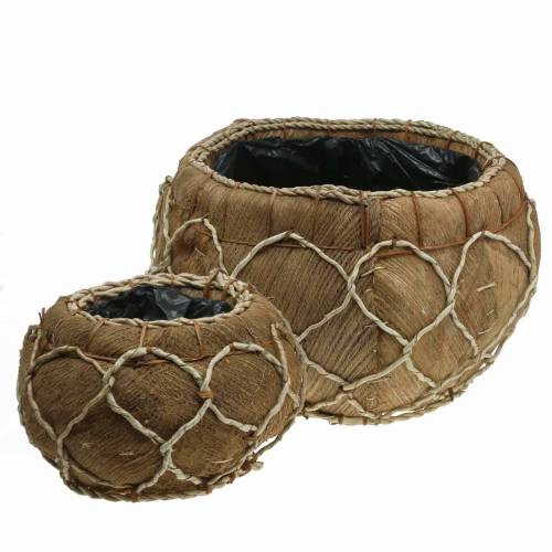 Floristik24 Fioriera cocco naturale Ø37 / 24cm, set di 2