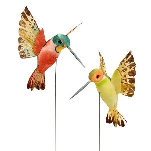 Floristik24 Colibrì con filo 5,5 cm L22 cm assortiti 12 pezzi