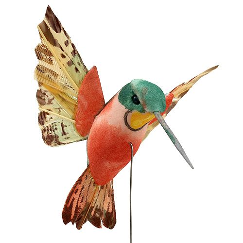 Floristik24 Colibrì con filo 5,5 cm L22 cm assortiti 12 pezzi