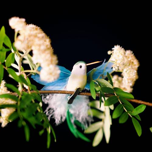 Floristik24 Assortimento Kolibri sulla clip 17cm 12 pezzi