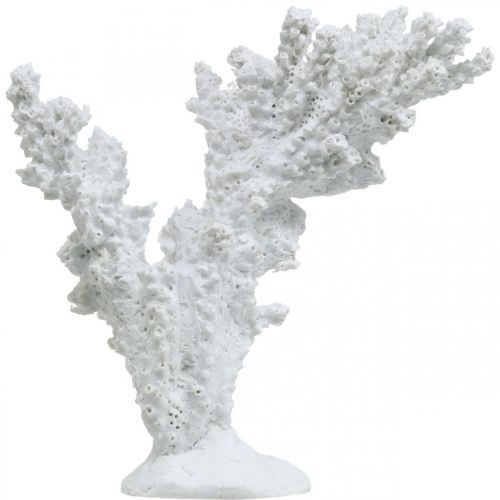 Floristik24 Decorazione marittima supporto per decorazione artificiale bianco corallo 11×12 cm