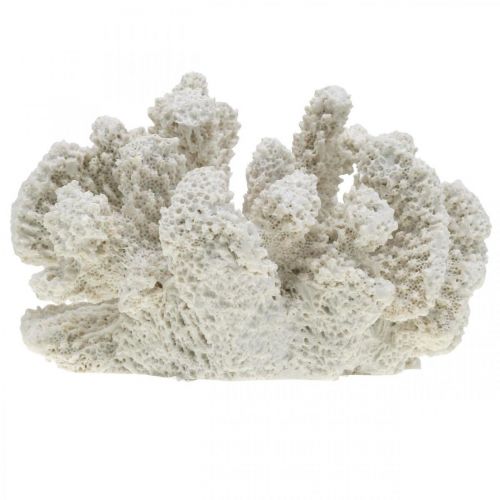 Floristik24 Decoro marittimo corallo bianco artificiale poliresina piccola 13,5x12 cm