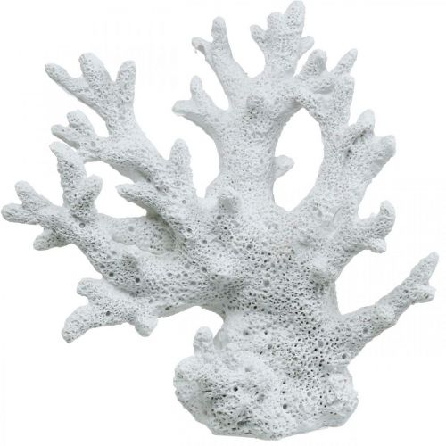 Floristik24 Decoro marittimo decoro estivo bianco corallo 14,5×14,5 cm