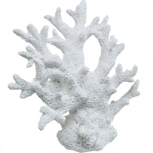 Floristik24 Decoro marittimo decoro estivo bianco corallo 14,5×14,5 cm