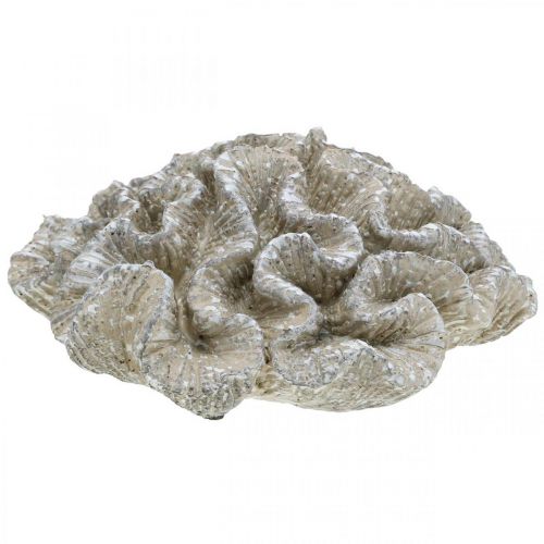 Prodotto Decoro marittimo corallo beige bianco artificiale polyresin 23x20cm
