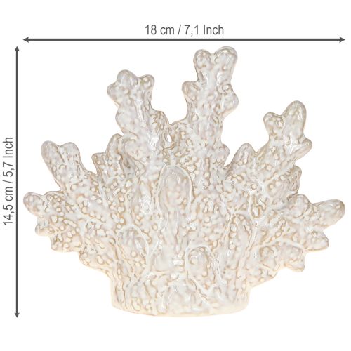 Prodotto Decorazione da tavolo in ceramica marittima con decorazione corallo beige H14,5cm