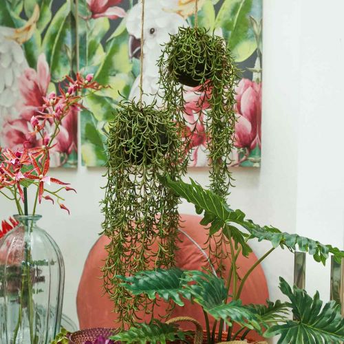 Floristik24 Appendino Rhipsalis artificiale cactus corallo 90cm
